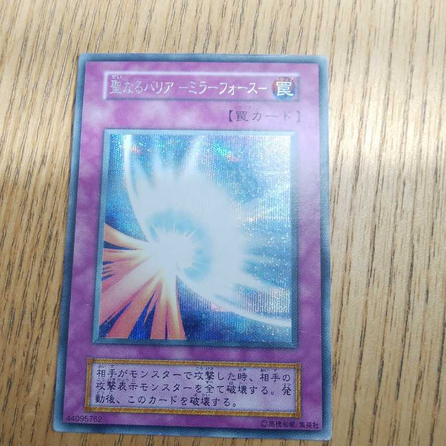 ブルーベリー様専用