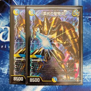 「雷光の聖騎士」