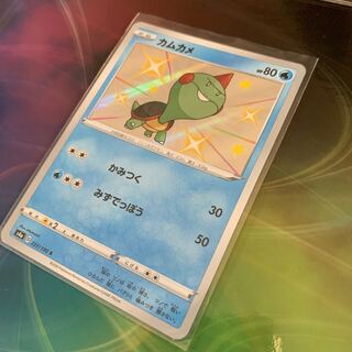 カムカメ　色違い