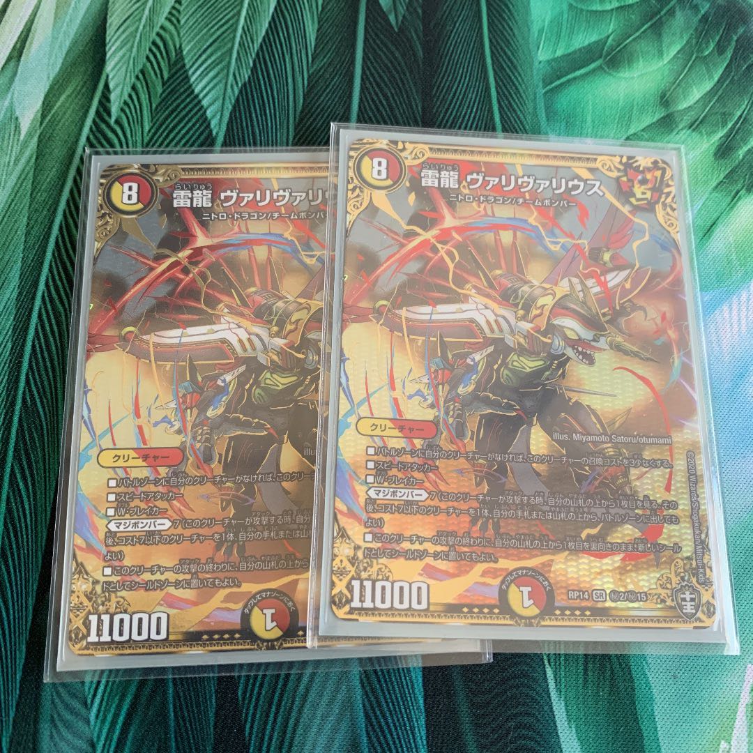 雷龍 ヴァリヴァリウス