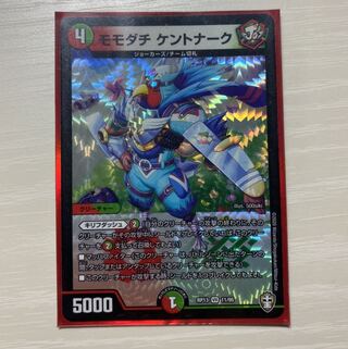 モモダチ ケントナーク