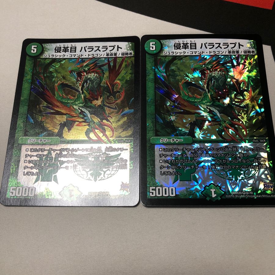 侵革目 パラスラプト