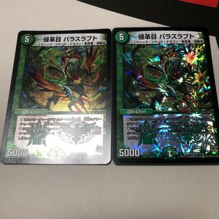 侵革目 パラスラプト