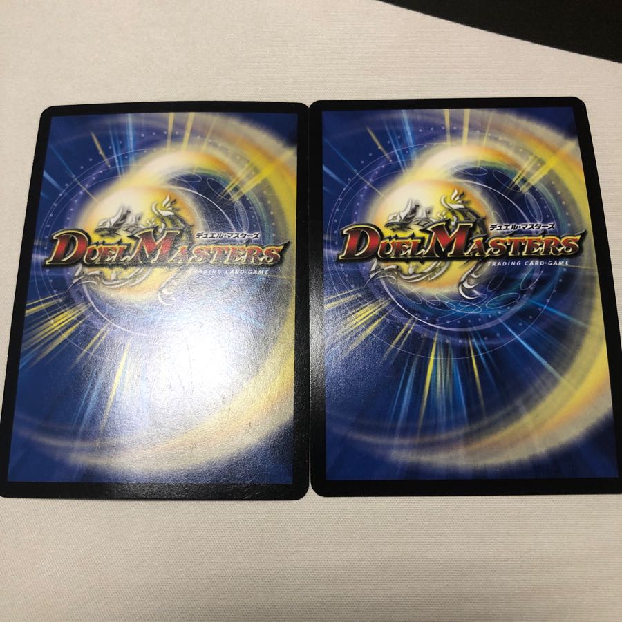 侵革目 パラスラプト