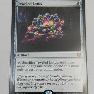 宝石の睡蓮　jeweled lotus　英語