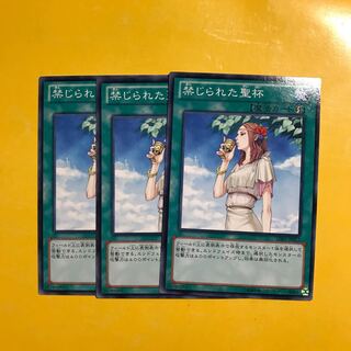 禁じられた聖杯