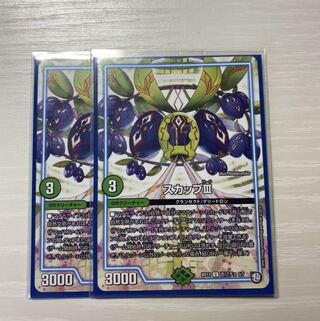 スカップIII 2枚