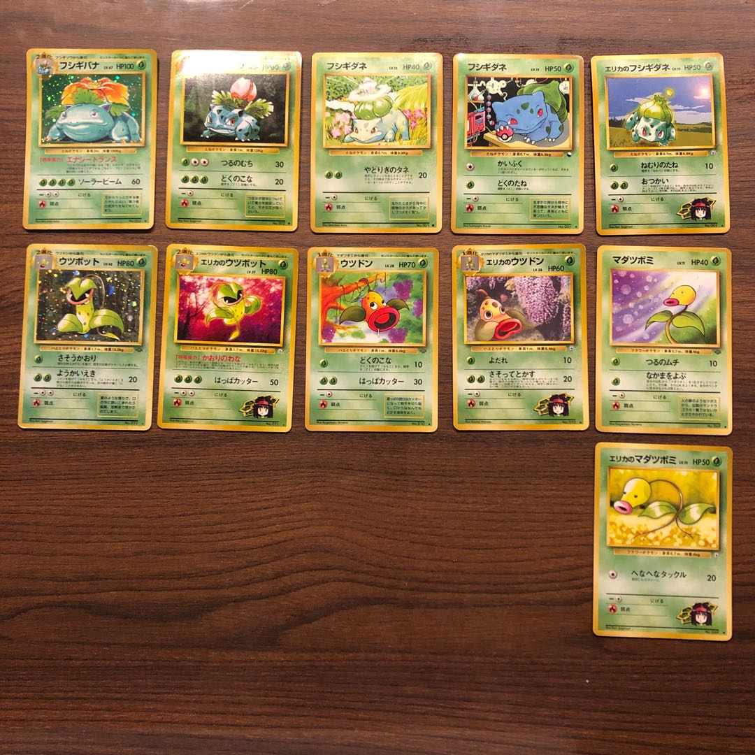 フシギバナ フシギソウ フシギダネ ウツボット ウツドン マダツボミ