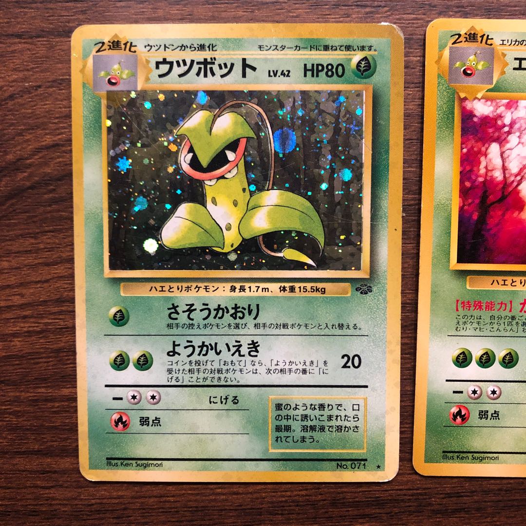 フシギバナ フシギソウ フシギダネ ウツボット ウツドン マダツボミ