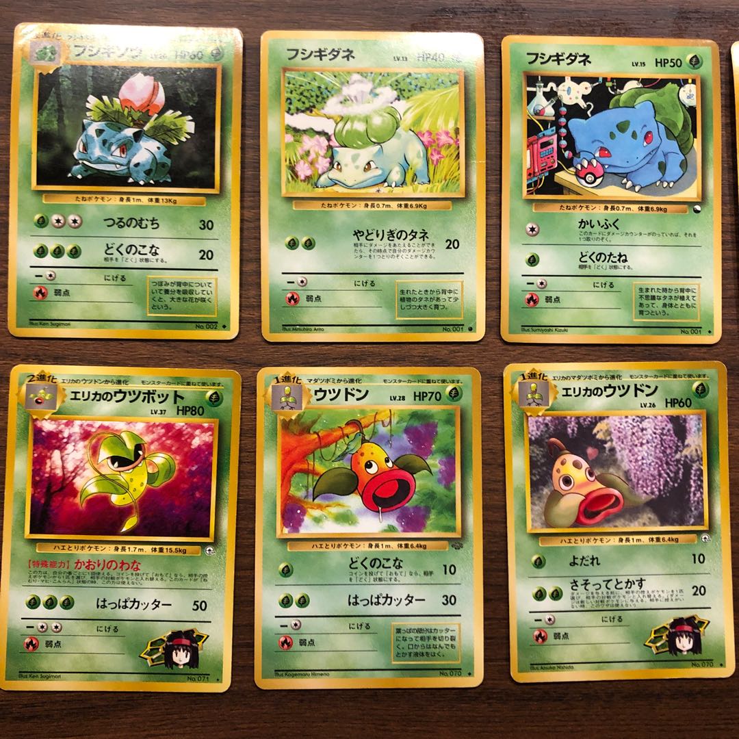 フシギバナ フシギソウ フシギダネ ウツボット ウツドン マダツボミ