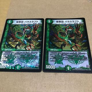 パラスラプト2枚