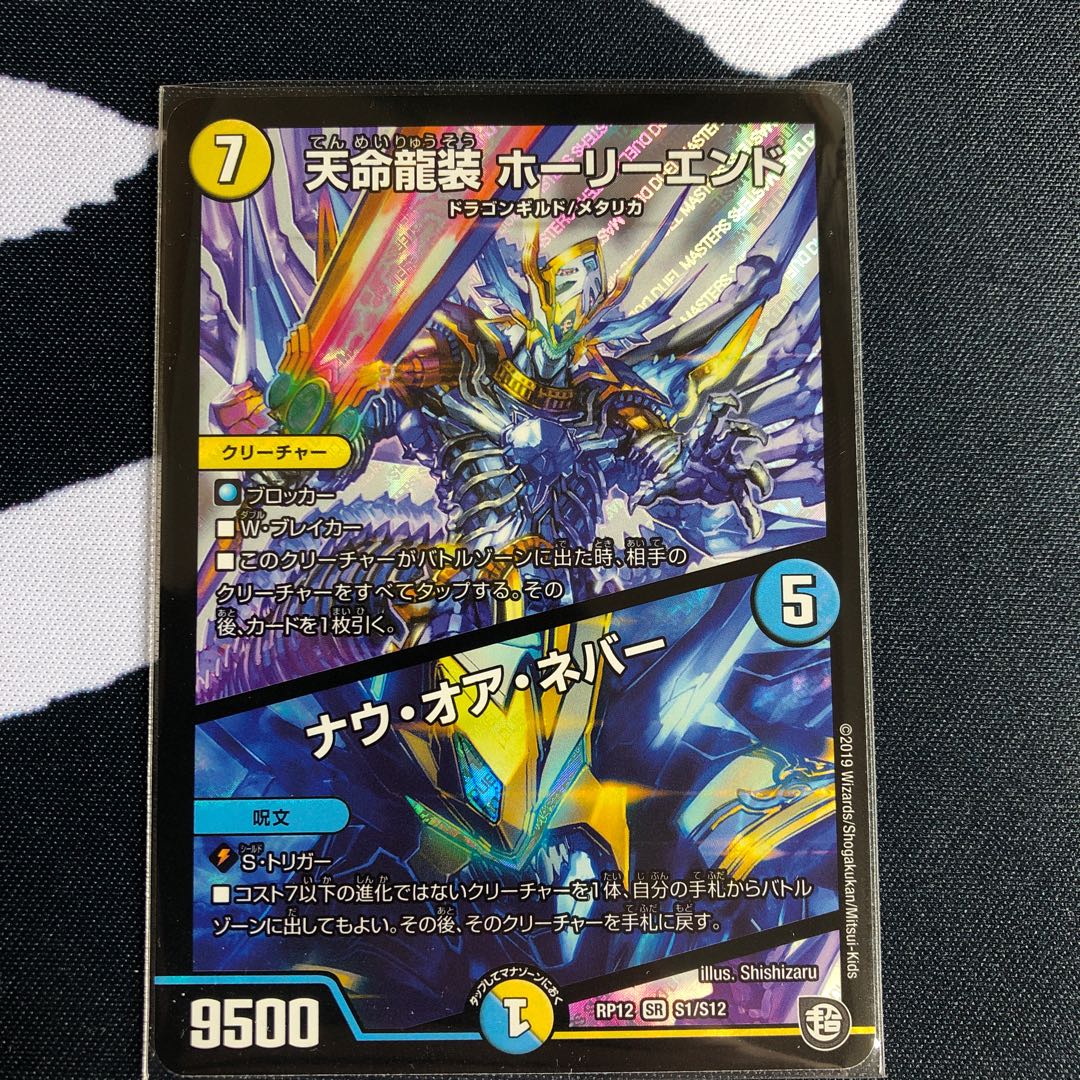 天命龍装 ホーリーエンド/ナウ・オア・ネバー