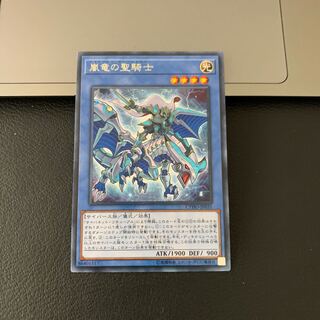 嵐竜の聖騎士 レア