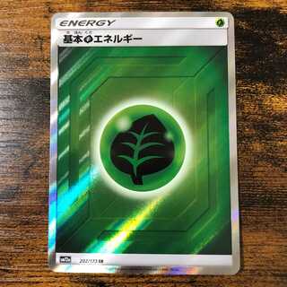 Basic GrassEnergy SR