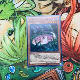 未界域のツチノコ