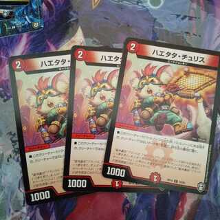 ハエタタ・チュリス C