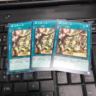 魔法族の里 ノーマル　３枚