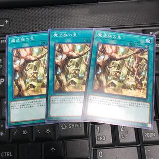 魔法族の里 ノーマル　３枚