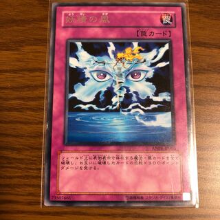 Fairy Wind Rare