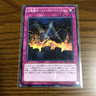 Decisive battle Polymerization - Final Fusion Normal