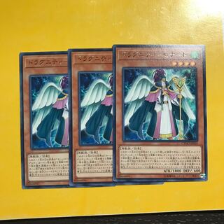 ドラグニティ-セナート