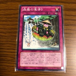 Sylvan Waterslide Normal