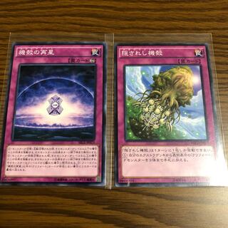 O-chan様専用 1枚