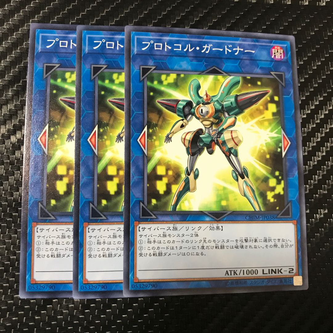 プロトコル・ガードナー ノーマル