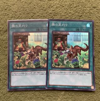 隣の芝刈り スーパーレア2枚