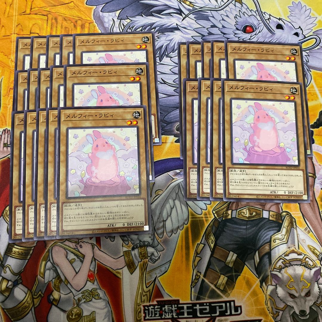 フェーダー様専用