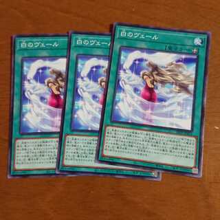 白のヴェール3枚