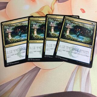 成長のらせん　4枚