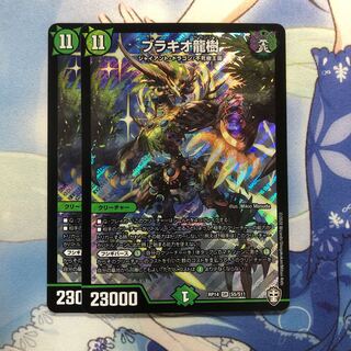 ブラキオ龍樹　2枚