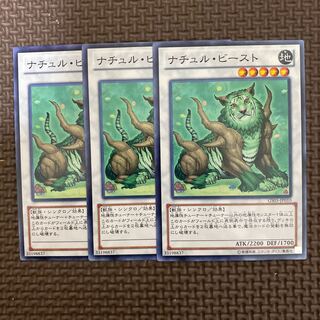 ナチュル・ビースト ノーマル