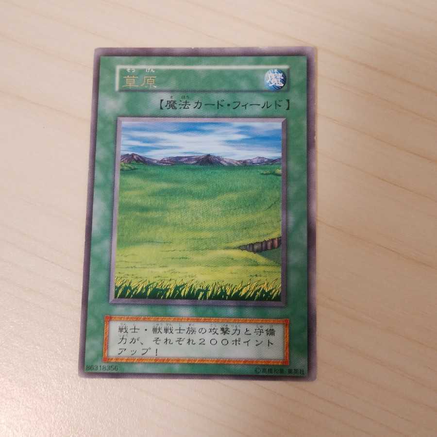 ブルーベリー様専用