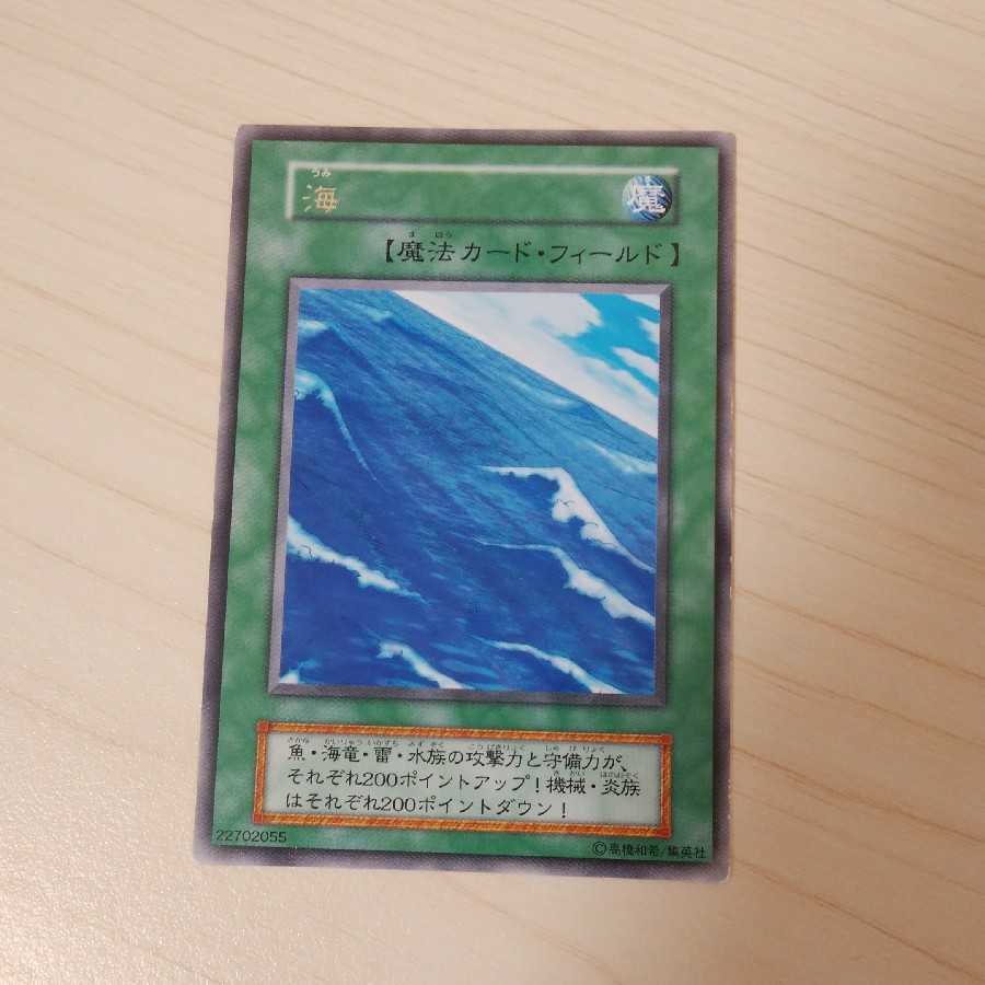 ブルーベリー様専用