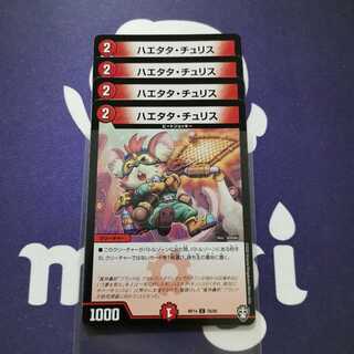 ハエタタ・チュリス