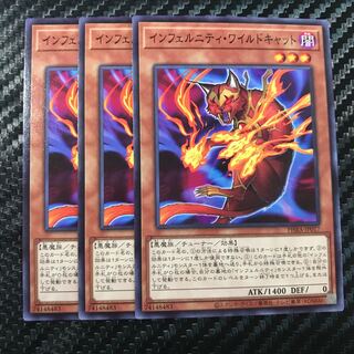 インフェルニティ・ワイルドキャット ノーマル