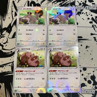 ホシガリス(キラ)ヨクバリス(キラ)