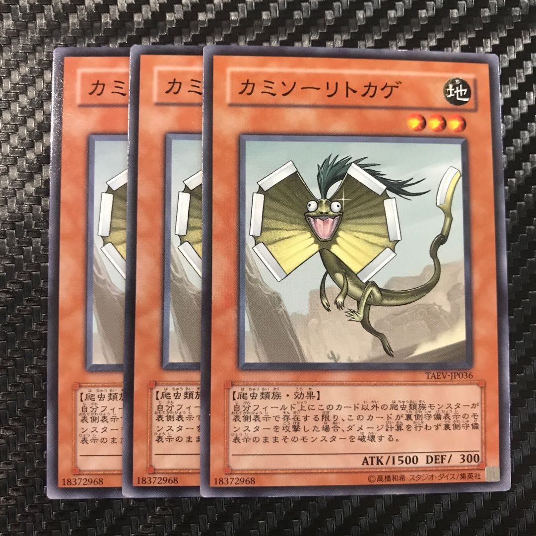 カミソーリトカゲ ノーマル