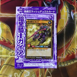 暗黒騎士ガイア