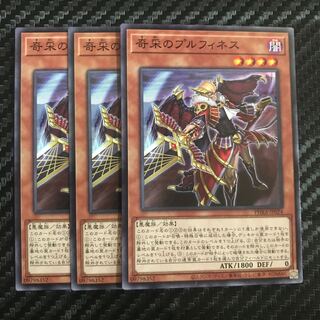 奇采のプルフィネス ノーマル