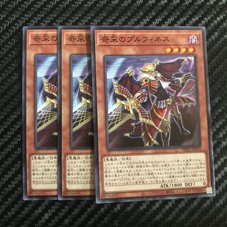 奇采のプルフィネス ノーマル