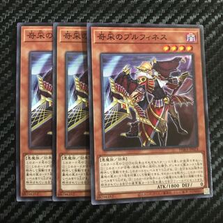 奇采のプルフィネス ノーマル