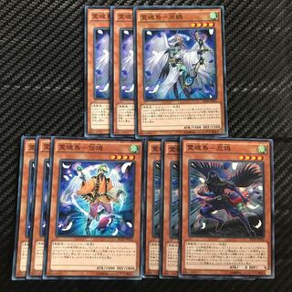 Spirit Bird Set 1枚