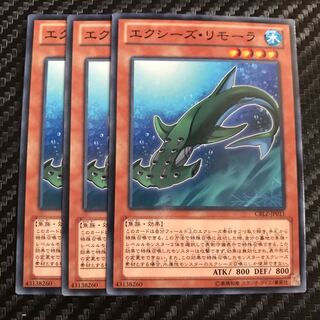 エクシーズ・リモーラ ノーマル