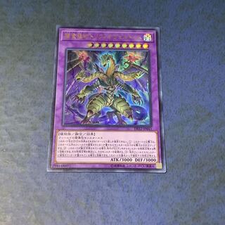 捕食植物トリフィオヴェルトゥム ウルトラレア