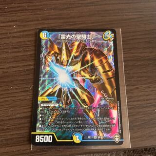 「雷光の聖騎士」