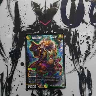 最安値！我怒の鎖 パンサーベア SR