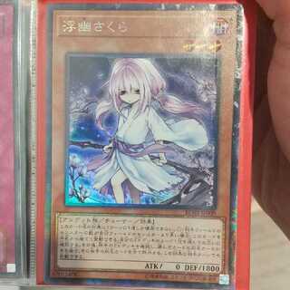 浮幽さくら コレクターズレア